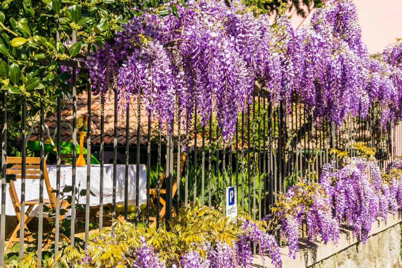 B&B Il Glicine Molare Cremolino Εξωτερικό φωτογραφία